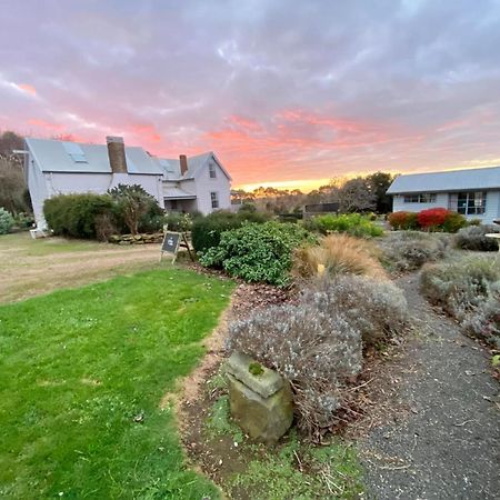 Robin Hoods Well Farm Stay Sassafras Exterior foto