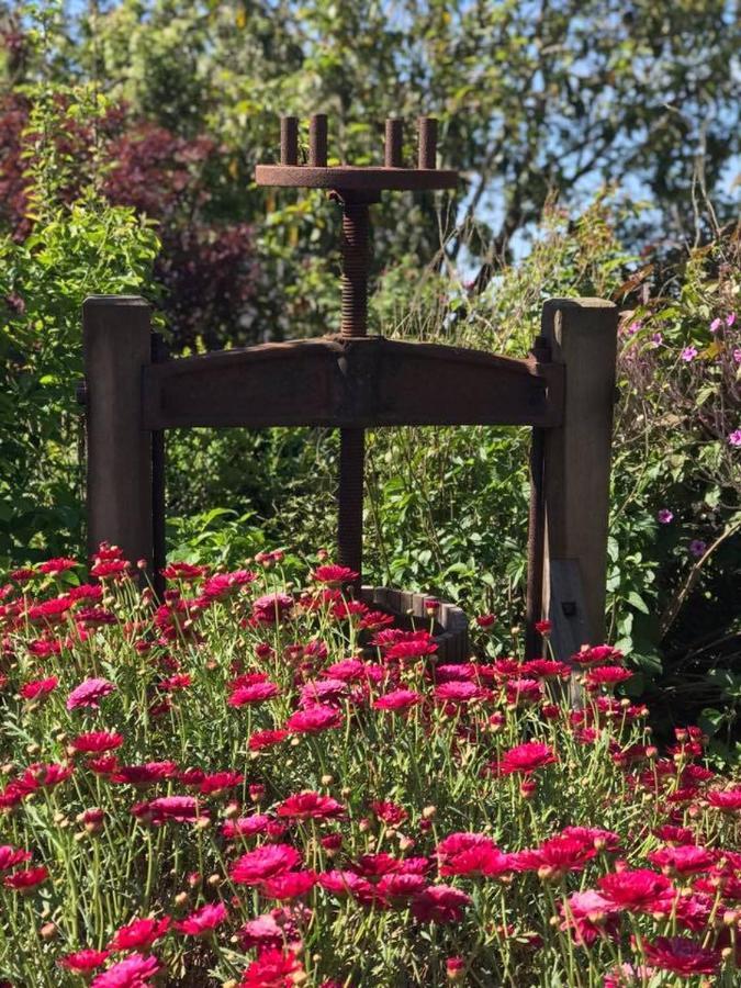 Robin Hoods Well Farm Stay Sassafras Exterior foto
